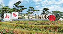 【行業(yè)資訊】南陽一個值得三顧的地方！“丹江水”“仙草艾”成為 “南陽禮物”新爆款！